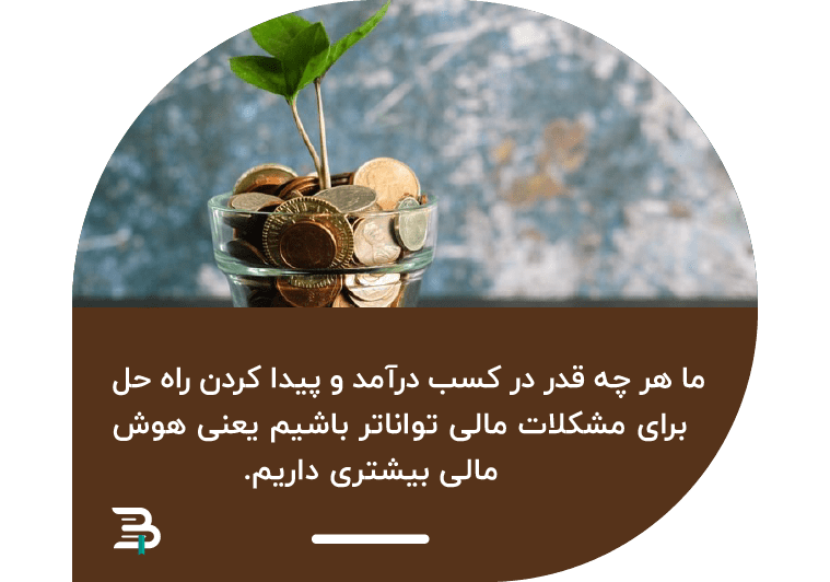 هوش مالی