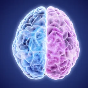 نیمکره راست مغز برای چیست و چه ویژگی هایی دارد؟